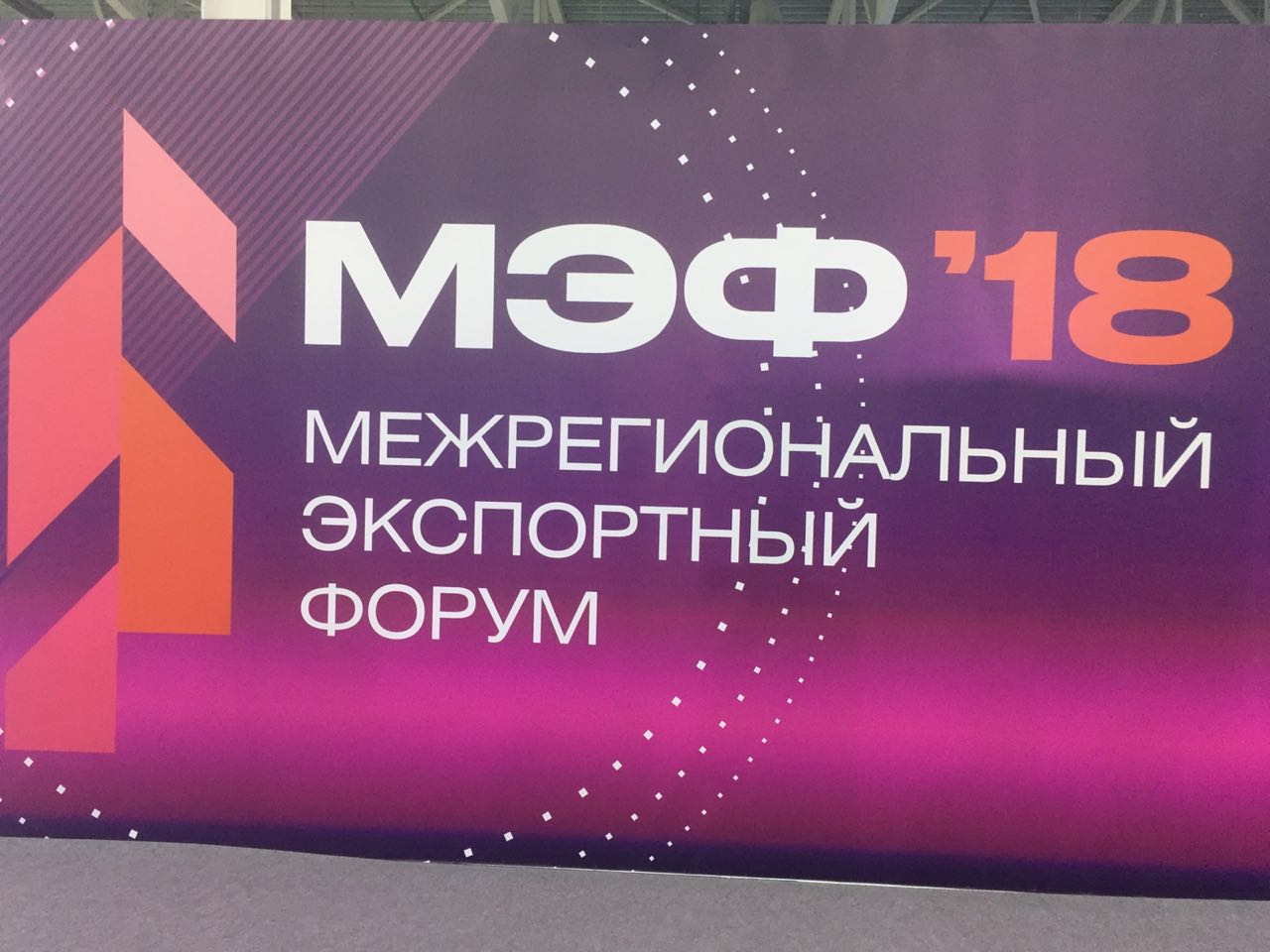 Алексей Бурнашов на МЭФ-2018: «Усилия, предпринимаемые законодательной и исполнительной властью страны для развития экспорта, никогда не будут достаточными…»