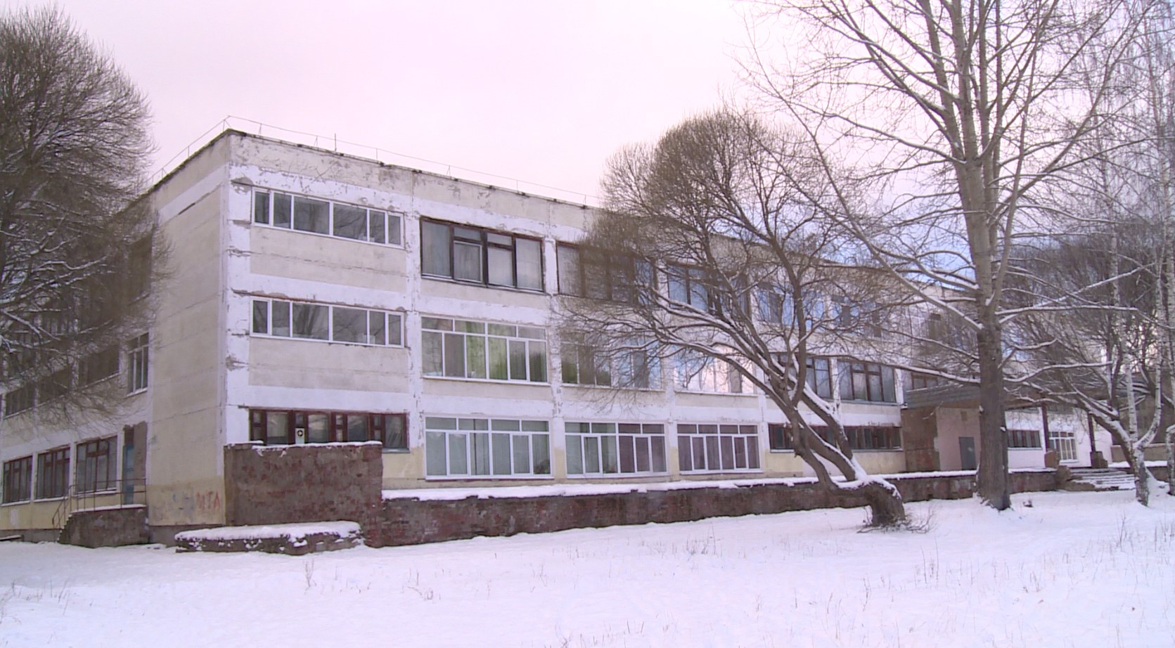 Директора школы в Краснокамске, где ученики избили одноклассницу, уволили