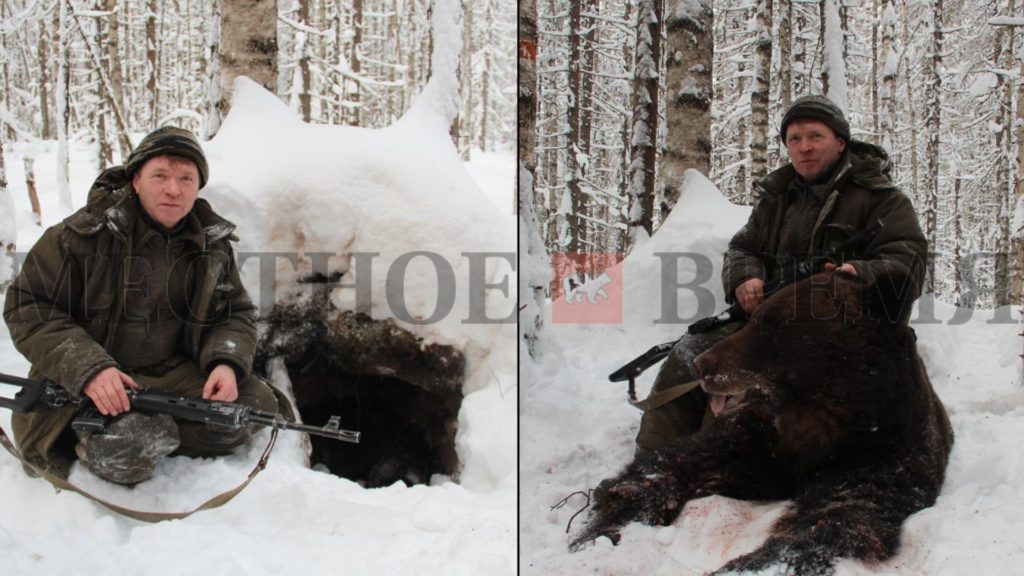 «Охота на спящего медведя, это явно выраженное жестокое обращение с животным». Минприроды Пермского края готово помочь в расследовании незаконной охоты чиновника