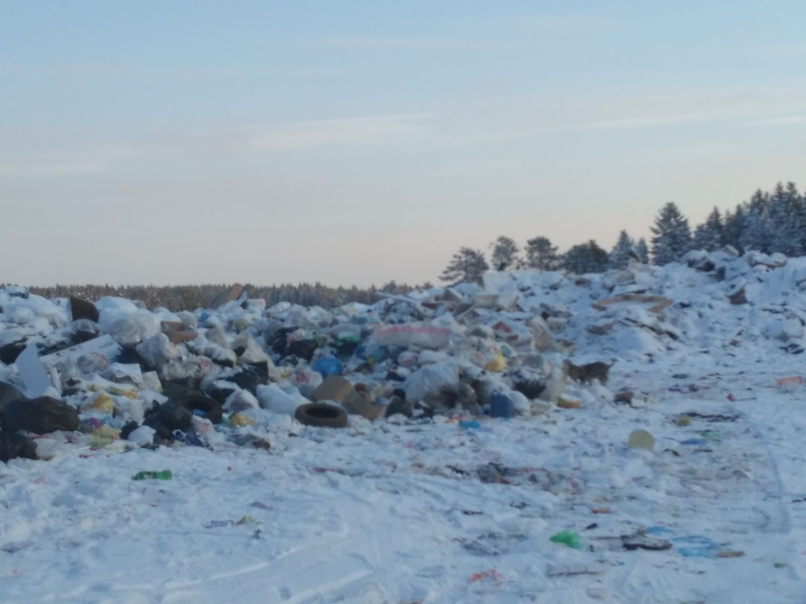 Новую услугу по вывозу мусора получили тысяча населенных пунктов Пермского края