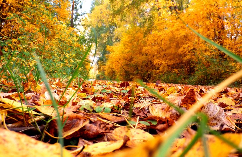 Осенняя хандра - частое явление из-за смещения биоритмов и погодных изменений. Эксперты говорят о решении проблемы