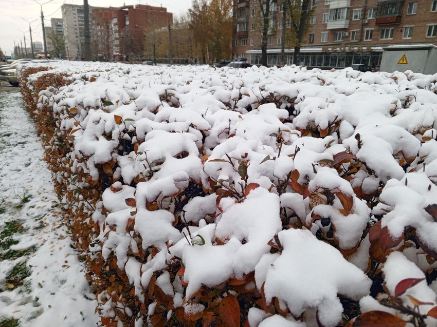 Мэрия Краснокамска просит посчитать весь снег