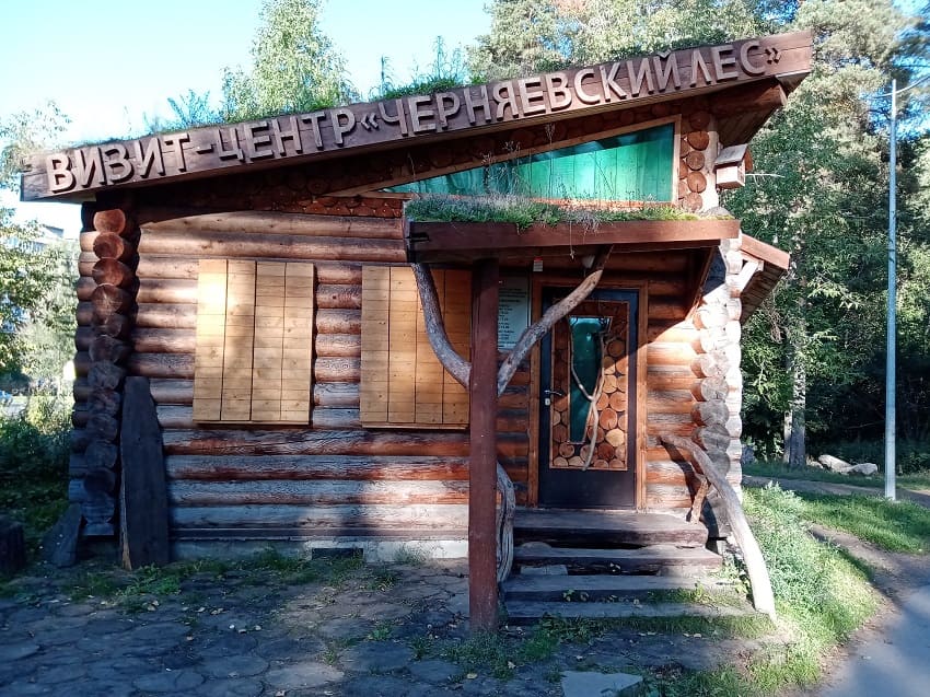 В Перми выявлены нарушения при благоустройстве Черняевского леса 
